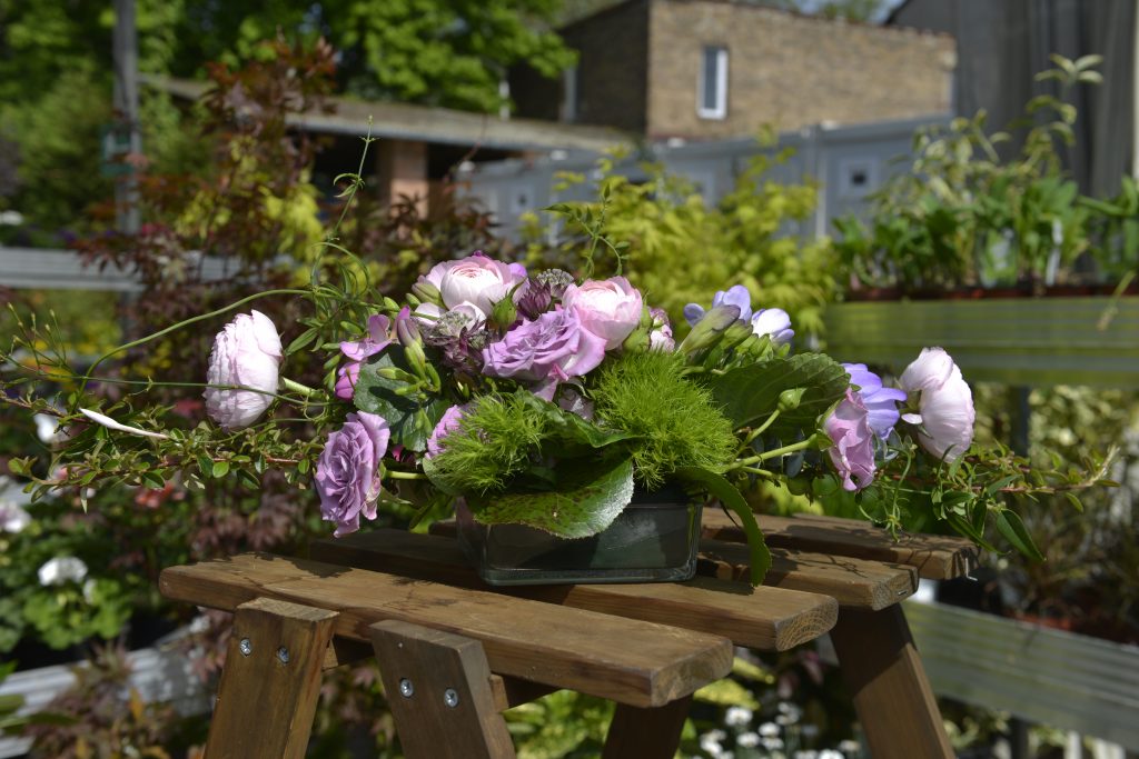 Gartencenter Rahnsdorf Pflenazen
