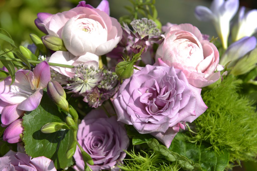 Gartencenter Rahnsdorf